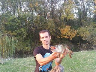 Neajlov